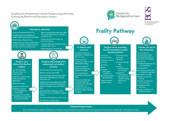 Guideline For The Care Of People Living With Frailty Undergoing ...